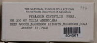 Image Associated With the Occurence